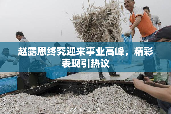 赵露思终究迎来事业高峰，精彩表现引热议