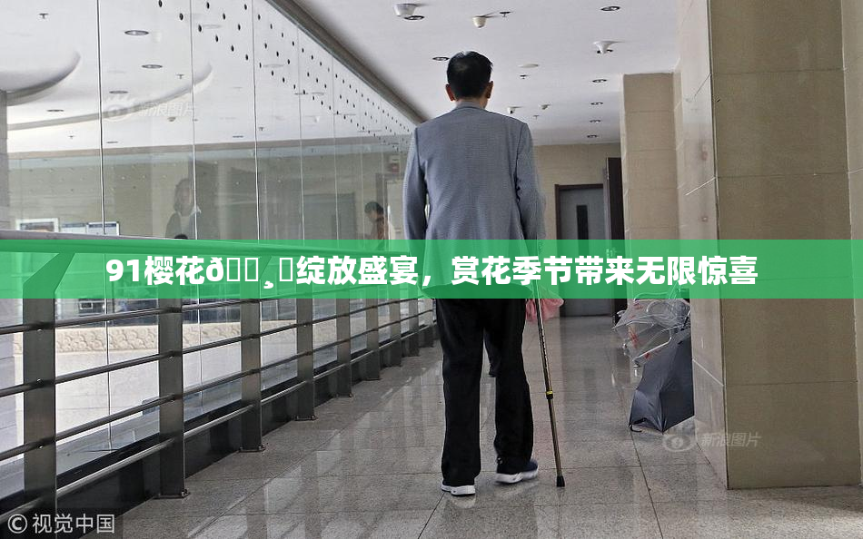 91樱花🌸‌绽放盛宴，赏花季节带来无限惊喜