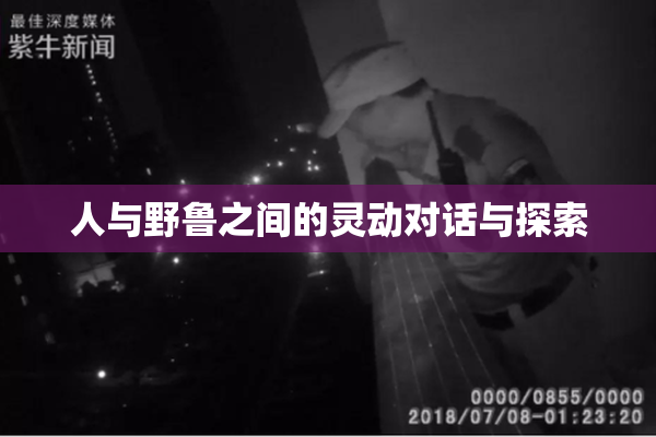 人与野鲁之间的灵动对话与探索