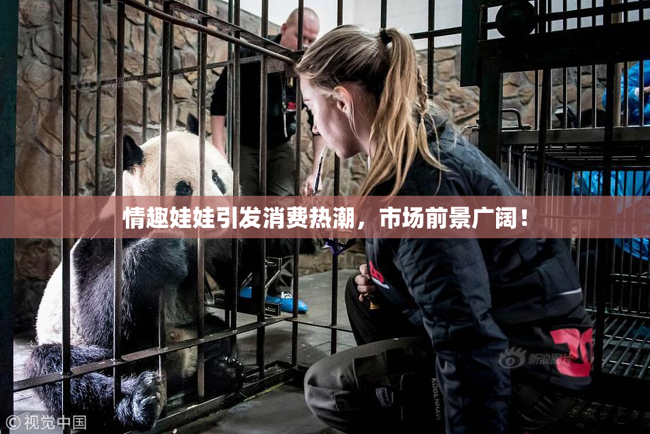 情趣娃娃引发消费热潮，市场前景广阔！