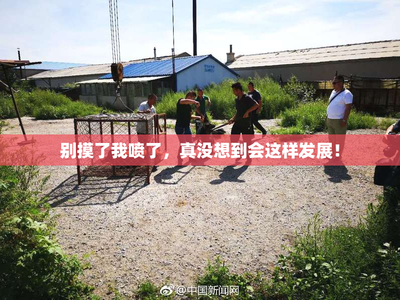 别摸了我喷了，真没想到会这样发展！