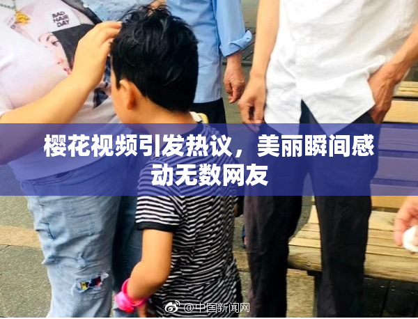樱花视频引发热议，美丽瞬间感动无数网友