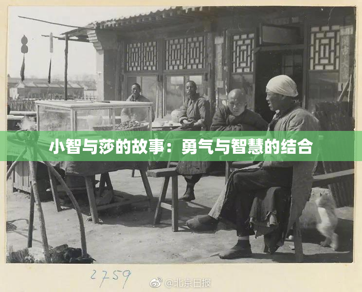 小智与莎的故事：勇气与智慧的结合