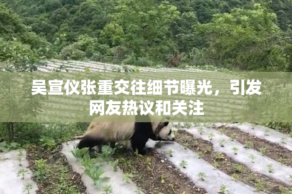 吴宣仪张重交往细节曝光，引发网友热议和关注