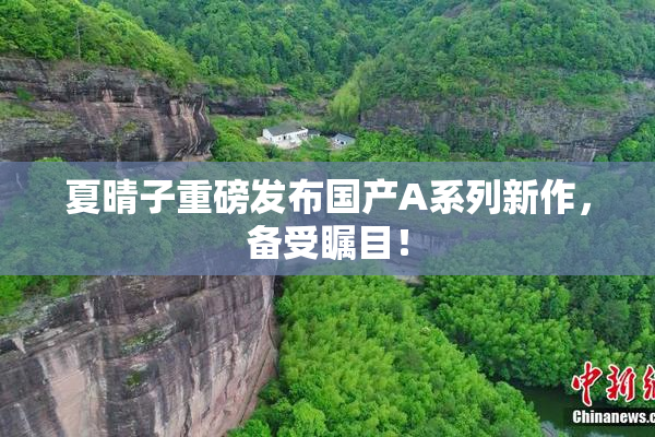 夏晴子重磅发布国产A系列新作，备受瞩目！