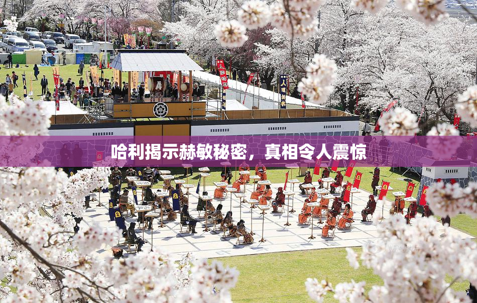 哈利揭示赫敏秘密，真相令人震惊