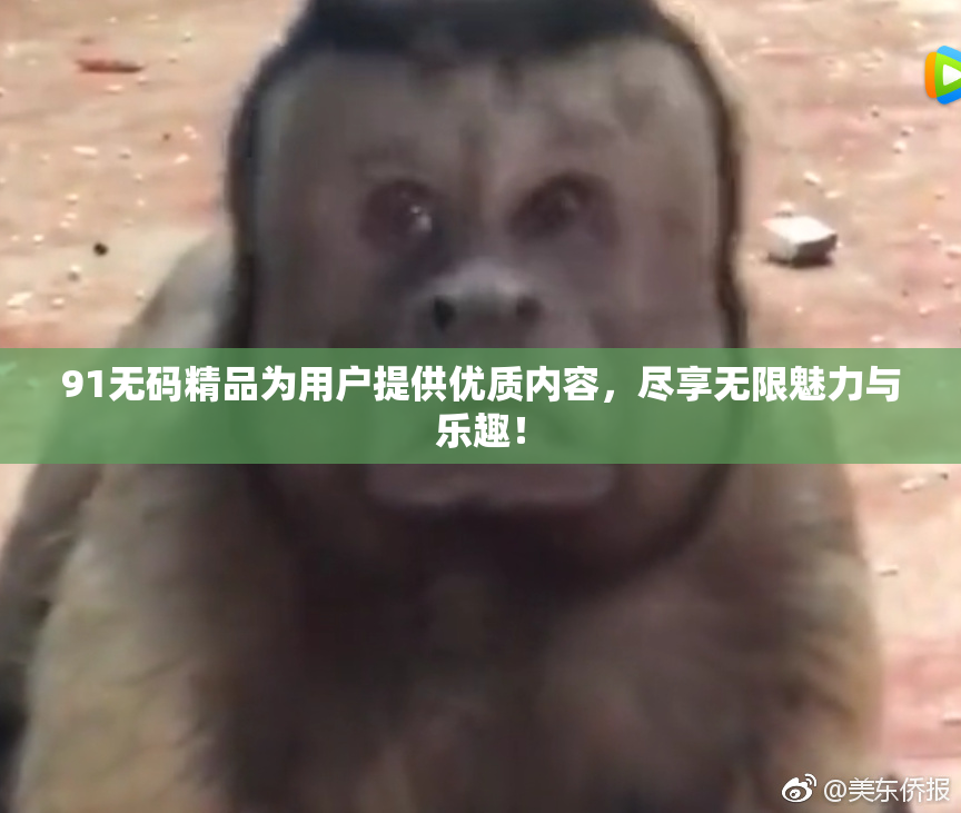 91无码精品为用户提供优质内容，尽享无限魅力与乐趣！