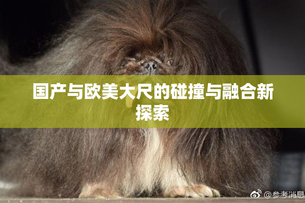 国产与欧美大尺的碰撞与融合新探索