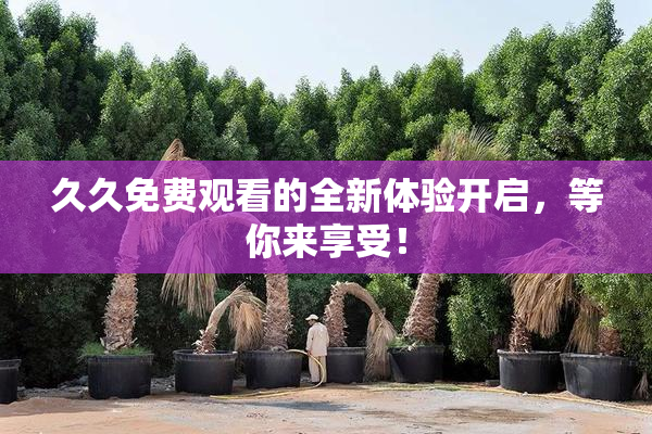 久久免费观看的全新体验开启，等你来享受！