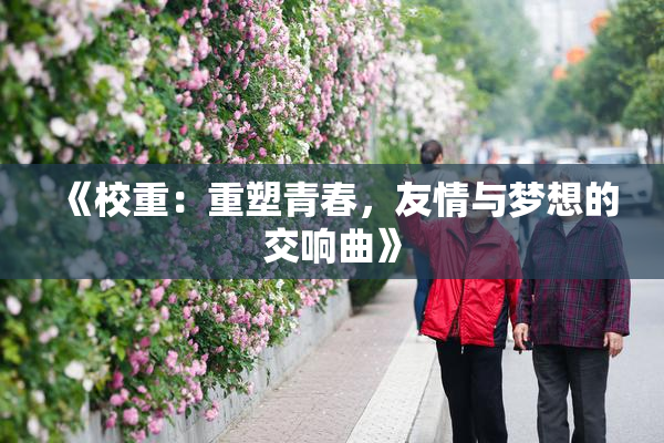 《校重：重塑青春，友情与梦想的交响曲》