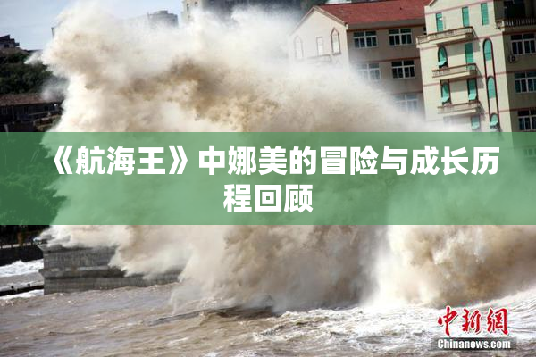 《航海王》中娜美的冒险与成长历程回顾