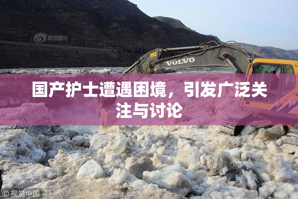 国产护士遭遇困境，引发广泛关注与讨论