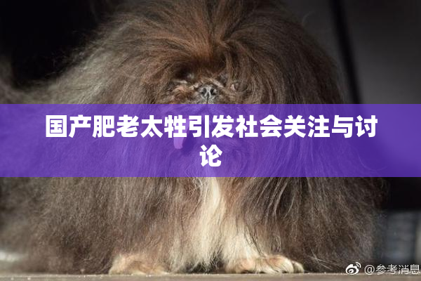 国产肥老太牲引发社会关注与讨论