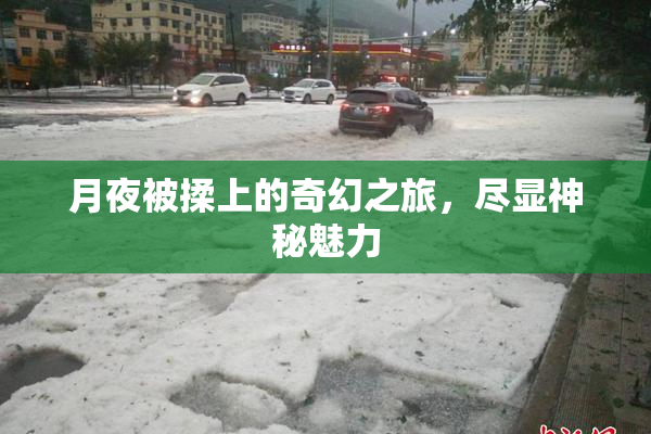 月夜被揉上的奇幻之旅，尽显神秘魅力
