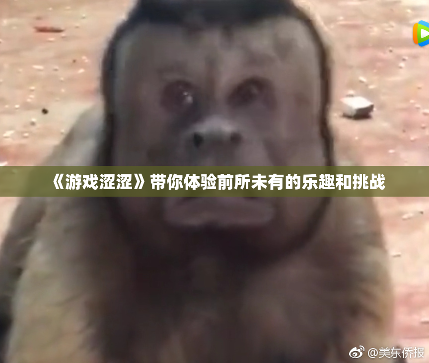 《游戏涩涩》带你体验前所未有的乐趣和挑战