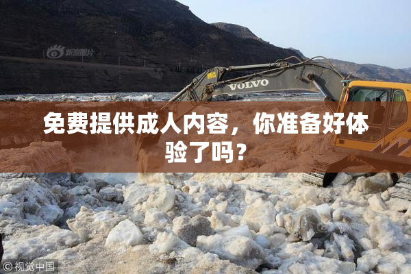 免费提供成人内容，你准备好体验了吗？