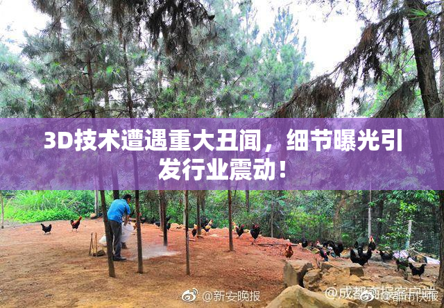 3D技术遭遇重大丑闻，细节曝光引发行业震动！