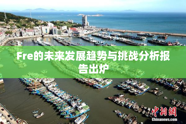 Fre的未来发展趋势与挑战分析报告出炉
