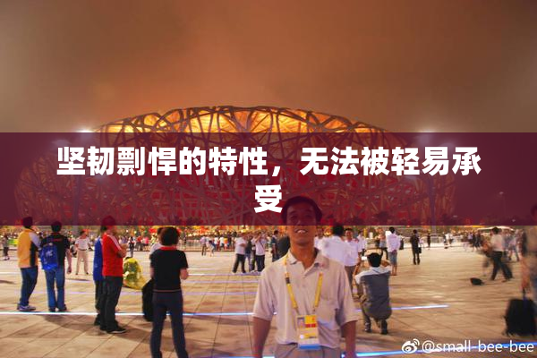 坚韧剽悍的特性，无法被轻易承受