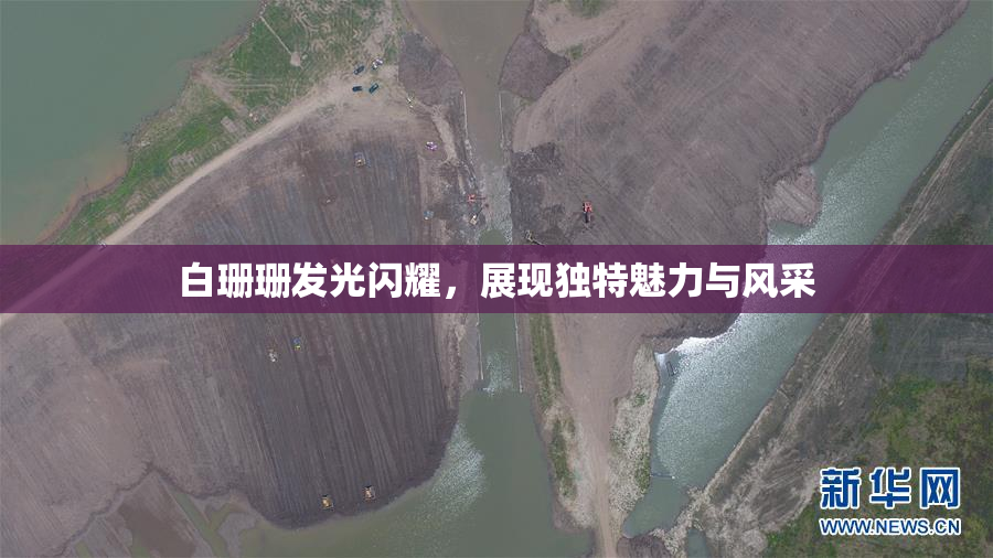 白珊珊发光闪耀，展现独特魅力与风采