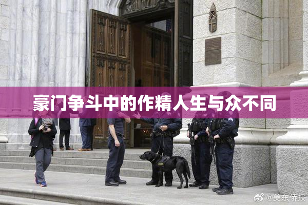 豪门争斗中的作精人生与众不同