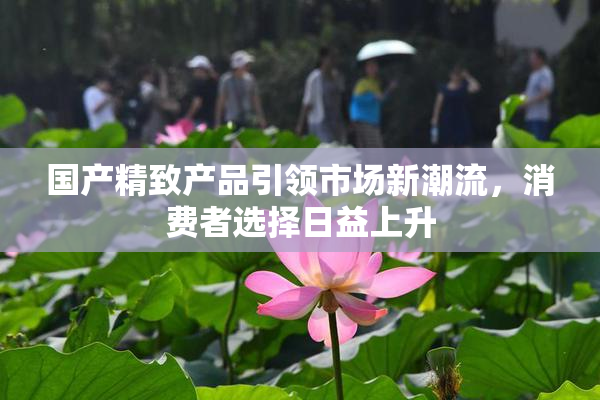 国产精致产品引领市场新潮流，消费者选择日益上升