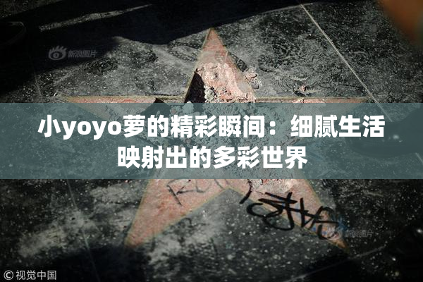 小yoyo萝的精彩瞬间：细腻生活映射出的多彩世界