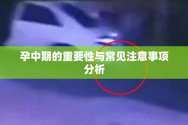 孕中期的重要性与常见注意事项分析