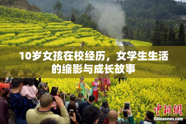 10岁女孩在校经历，女学生生活的缩影与成长故事
