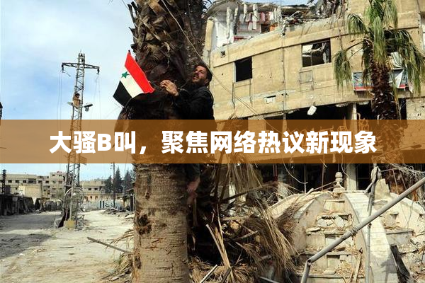 大骚B叫，聚焦网络热议新现象