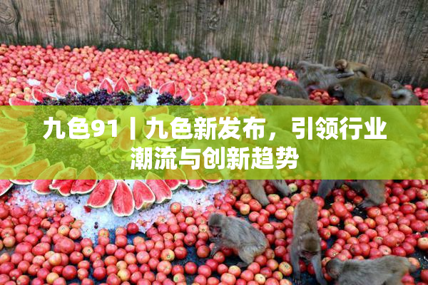 九色91丨九色新发布，引领行业潮流与创新趋势