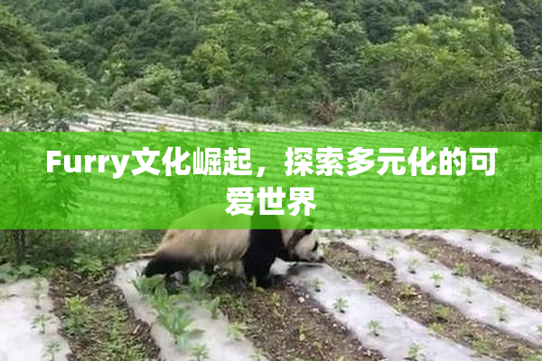 Furry文化崛起，探索多元化的可爱世界