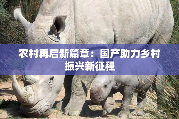 农村再启新篇章：国产助力乡村振兴新征程