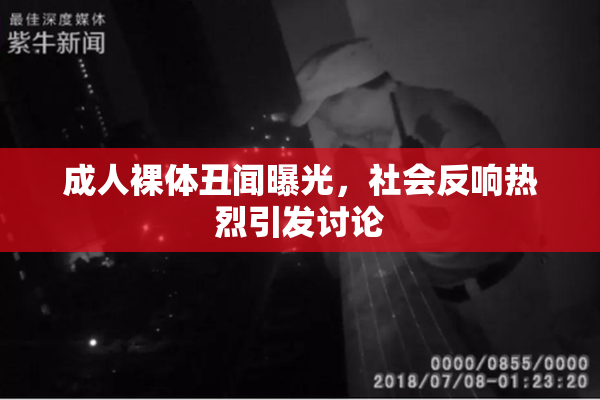 成人裸体丑闻曝光，社会反响热烈引发讨论