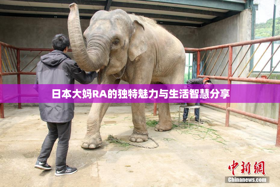 日本大妈RA的独特魅力与生活智慧分享