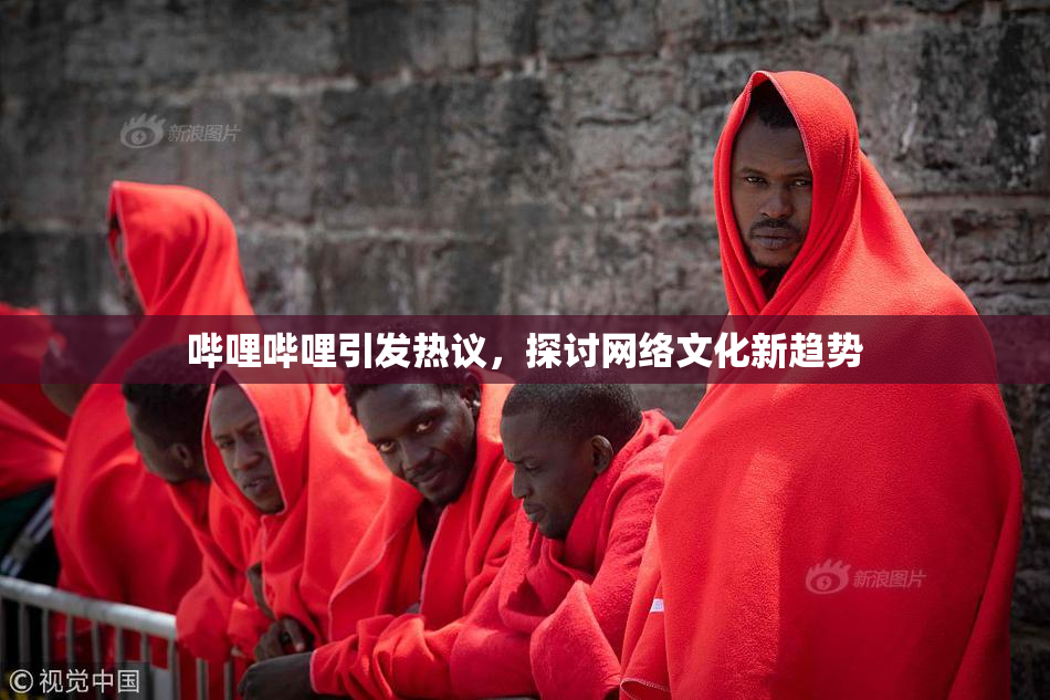 哔哩哔哩引发热议，探讨网络文化新趋势