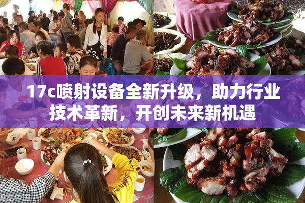 17c喷射设备全新升级，助力行业技术革新，开创未来新机遇