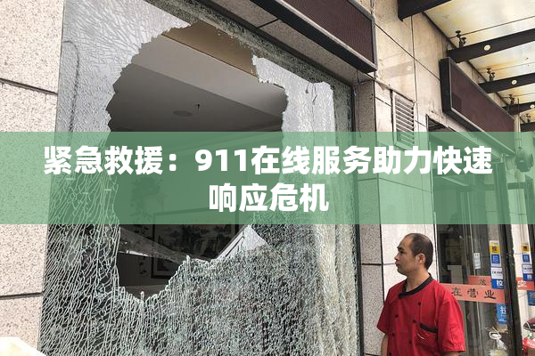 紧急救援：911在线服务助力快速响应危机