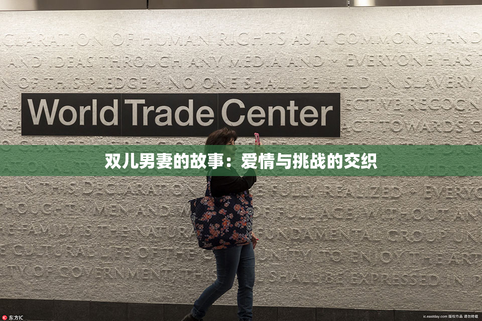 双儿男妻的故事：爱情与挑战的交织