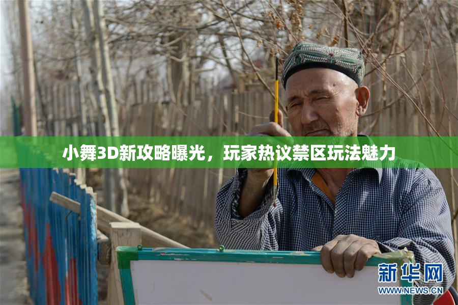 小舞3D新攻略曝光，玩家热议禁区玩法魅力