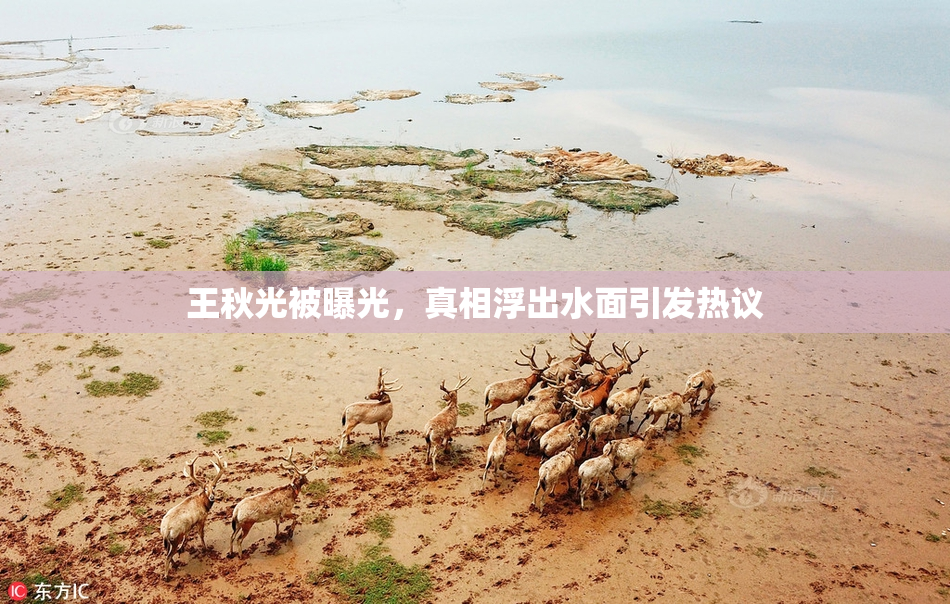 王秋光被曝光，真相浮出水面引发热议