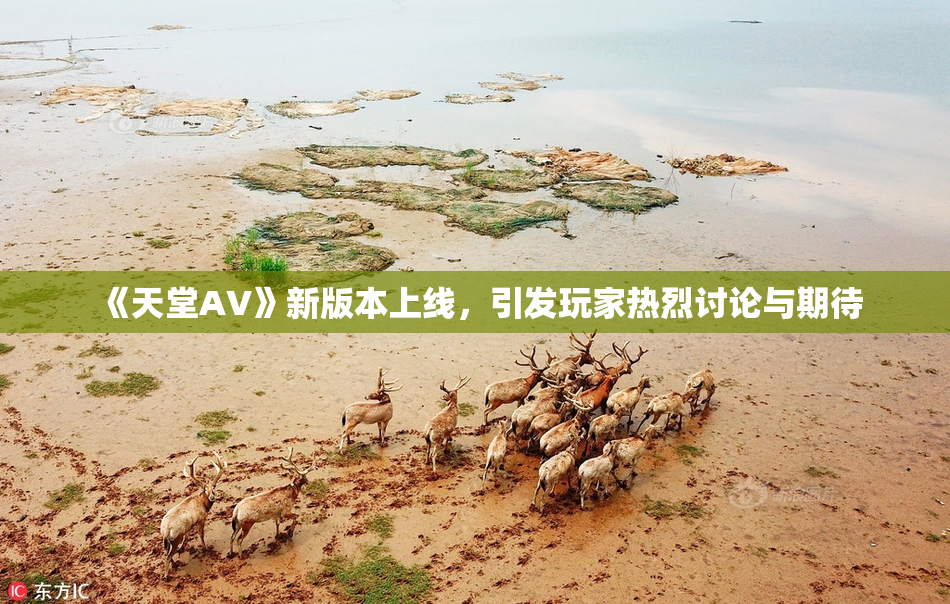 《天堂A∨》新版本上线，引发玩家热烈讨论与期待