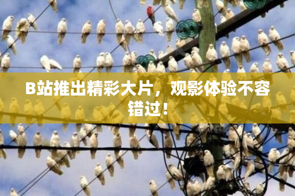 B站推出精彩大片，观影体验不容错过！
