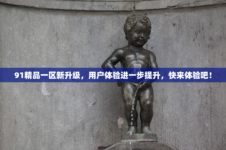 91精品一区新升级，用户体验进一步提升，快来体验吧！