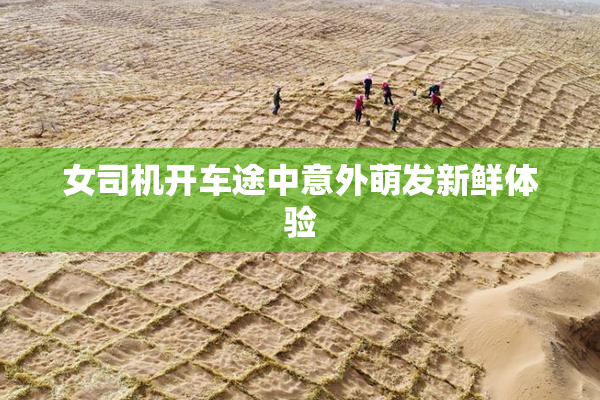 女司机开车途中意外萌发新鲜体验