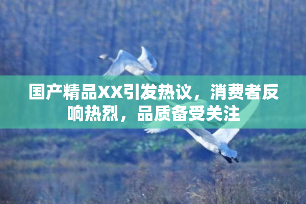 国产精品XX引发热议，消费者反响热烈，品质备受关注