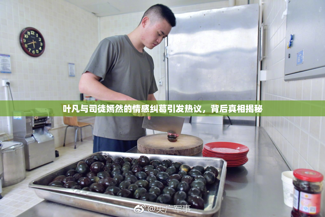 叶凡与司徒嫣然的情感纠葛引发热议，背后真相揭秘