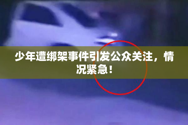 少年遭绑架事件引发公众关注，情况紧急！