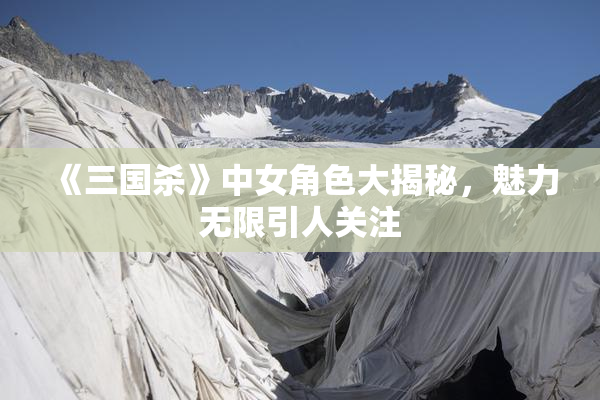 《三国杀》中女角色大揭秘，魅力无限引人关注