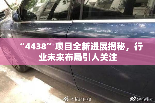 “4438”项目全新进展揭秘，行业未来布局引人关注